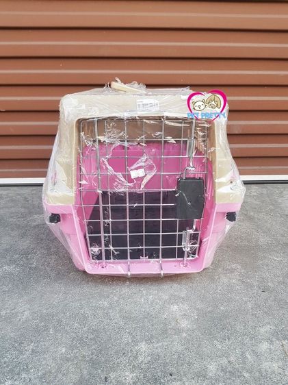 โปรเมษายน กรงพลาสติกเดินทาง กรงสัตว์เลี้ยง หน้าร้าน ถ.เทพรักษ์ บางเขน (เพ็ทพริตตี้) รูปที่ 4