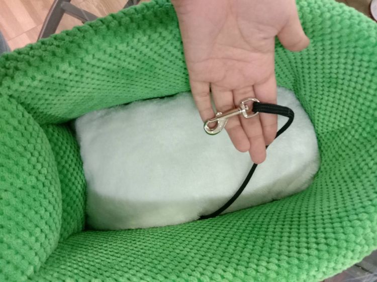 คาร์ซีทสัตว์เลี้ยง  คาร์ซีทแมว ที่นั่งในรถ หน้าร้าน ถ.เทพรักษ์ บางเขน (เพ็ทพริตตี้) รูปที่ 2