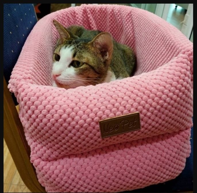 คาร์ซีทสัตว์เลี้ยง  คาร์ซีทแมว ที่นั่งในรถ หน้าร้าน ถ.เทพรักษ์ บางเขน (เพ็ทพริตตี้) รูปที่ 4