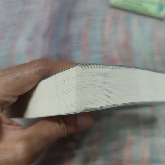 พี่จะตีนะเนย รูปที่ 6