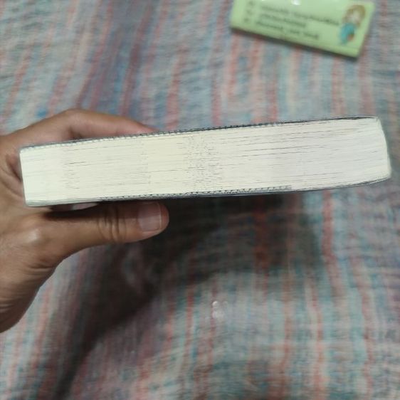 พี่จะตีนะเนย รูปที่ 9