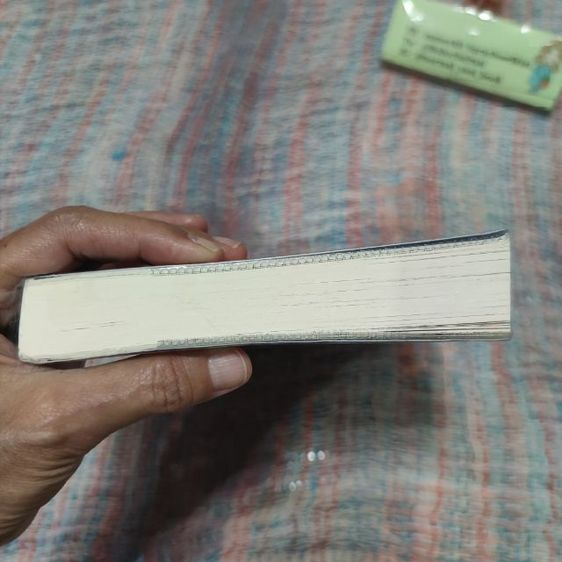 พี่จะตีนะเนย รูปที่ 5