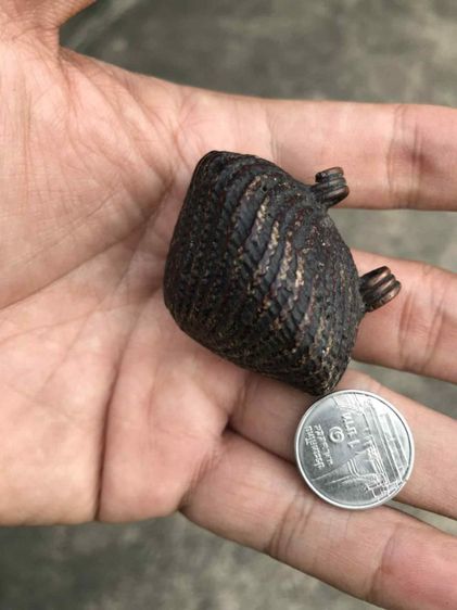 เบี้ยแก้เก่า รูปที่ 8