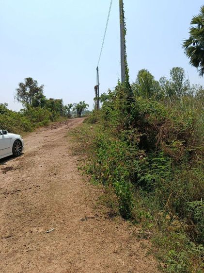 ที่ดิน 12ไร่ ติดบึงทุ่งหงษ๋ รูปที่ 2