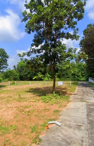 ขายที่ดิน เขตเทศบาล อ.ศรีเมืองใหม่  จ.อุบลราชธานี เหมาะสำหรับสร้างบ้าน