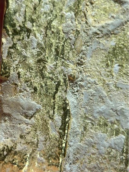 พระร่วงรางปืนเนื้อเปียกทอง รูปที่ 16