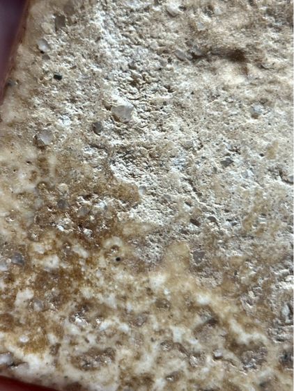 พระสมเด็จวัดระฆังพิมพ์ปกโพธิ์เล็ก รูปที่ 11