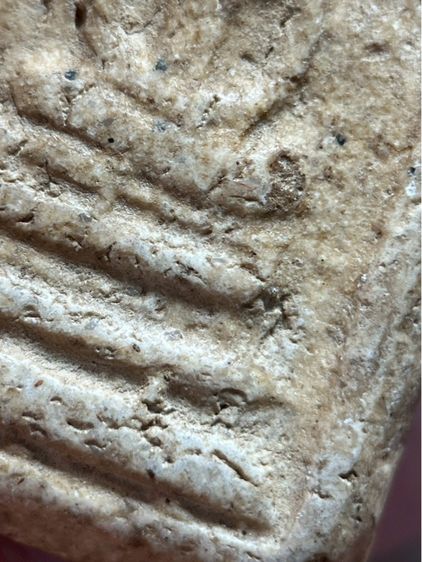 พระสมเด็จวัดระฆังพิมพ์ปกโพธิ์เล็ก รูปที่ 10