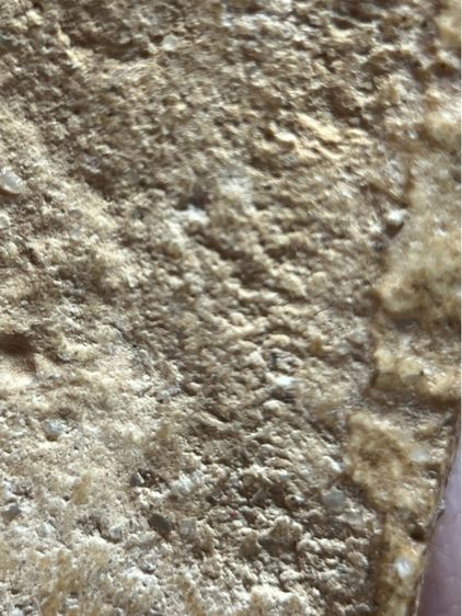 พระสมเด็จวัดระฆังพิมพ์ปกโพธิ์เล็ก รูปที่ 14