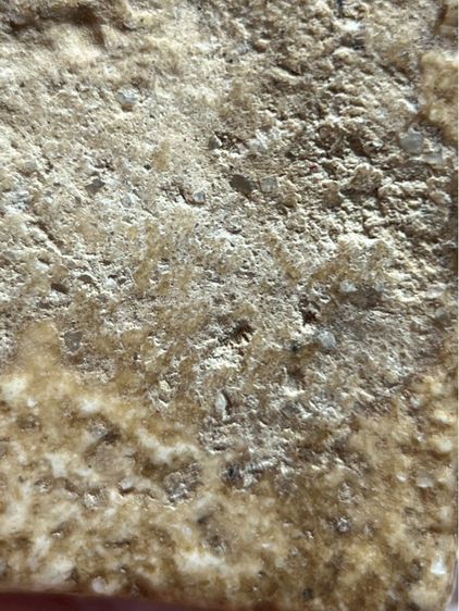 พระสมเด็จวัดระฆังพิมพ์ปกโพธิ์เล็ก รูปที่ 13