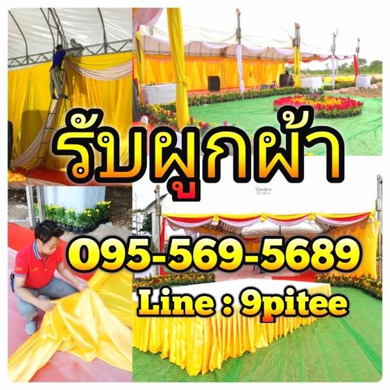 ผูกผ้างานรับเสด็จ