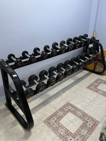 ขายเหมาทั้งหมด hoist body solid xercore รูปที่ 17