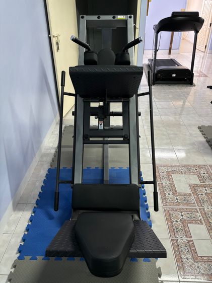 ขายเหมาทั้งหมด hoist body solid xercore รูปที่ 9