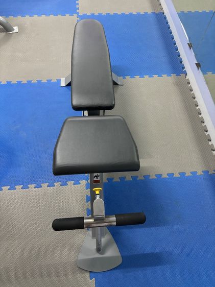 ขายเหมาทั้งหมด hoist body solid xercore รูปที่ 8