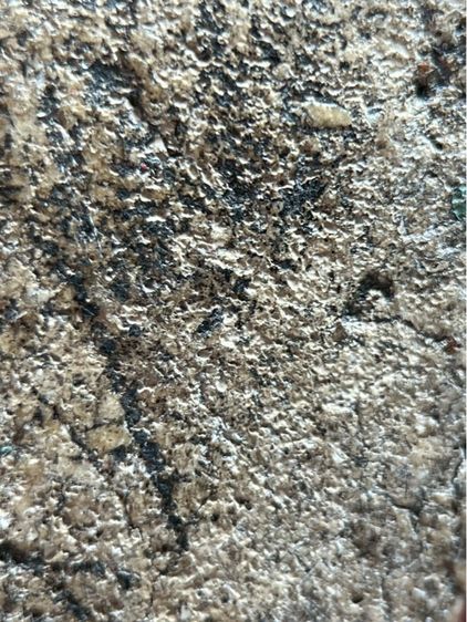 พระสมเด็จวัดระฆังพิมพ์ใหญ่ รูปที่ 13