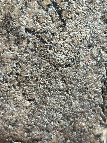 พระสมเด็จวัดระฆังพิมพ์ใหญ่ รูปที่ 16