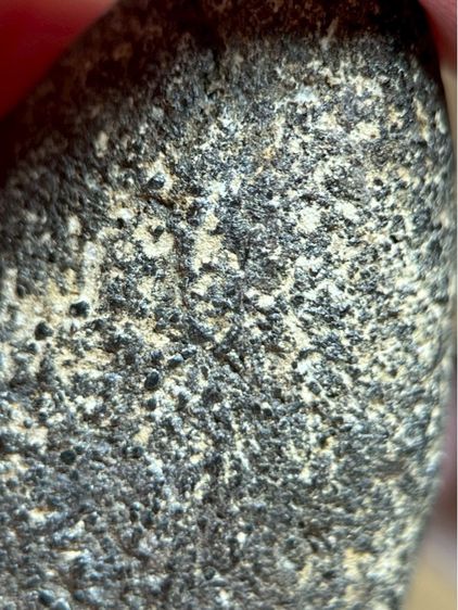 หลวงปู่ทวด เนื้อว่าน รูปที่ 12