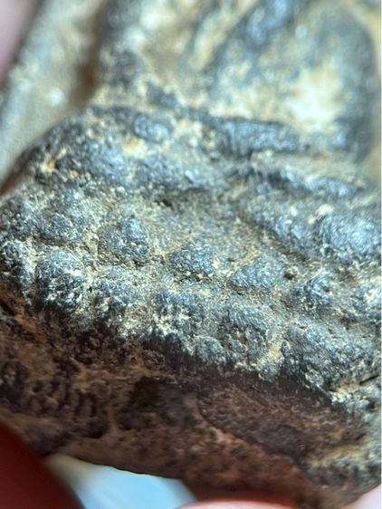 หลวงปู่ทวด เนื้อว่าน รูปที่ 11