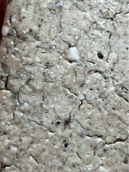 พระสมเด็จวัดระฆังพิมพ์ใหญ่ รูปที่ 15