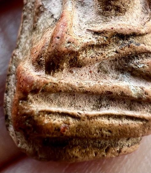 พระรอด วัดมหาวันพิมพ์กลาง  รูปที่ 12