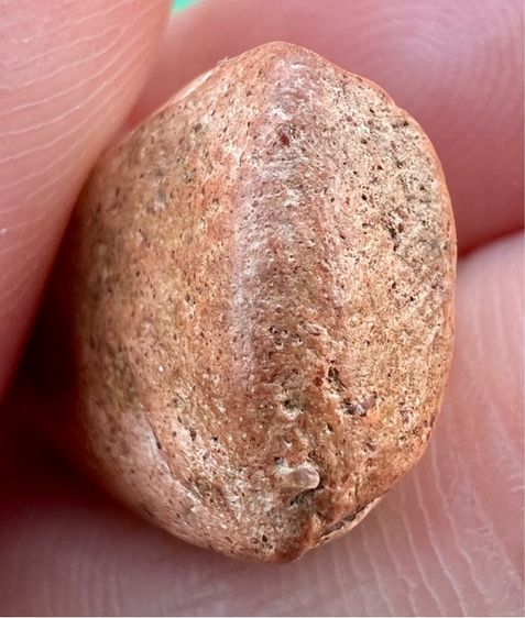 พระรอด วัดมหาวันพิมพ์กลาง  รูปที่ 14