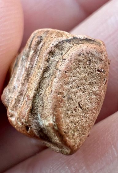 พระรอด วัดมหาวันพิมพ์กลาง  รูปที่ 13