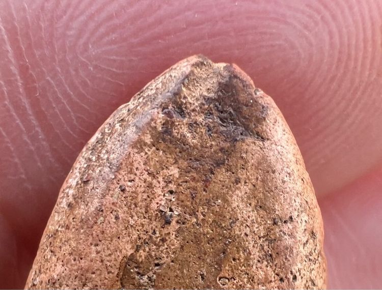 พระรอด วัดมหาวันพิมพ์กลาง  รูปที่ 16