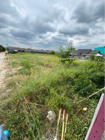 ไม่ใช่ ที่ดินใกล้ทะเล,ใกล้ชุมชน รูปที่ 3