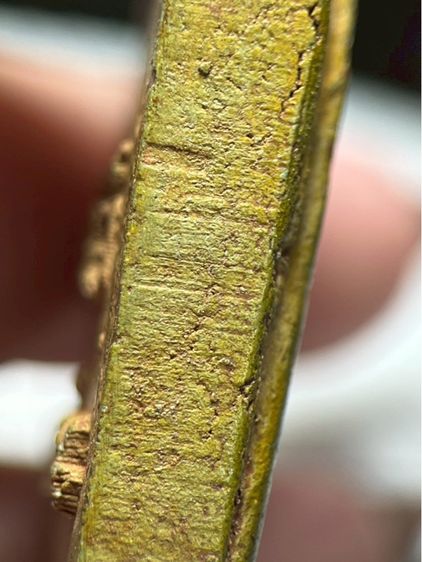 พระสมเด็จวัดระฆังพิมพ์ใหญ่หลังทรัพย์แสนล้าน สีเขียวนวล รูปที่ 14