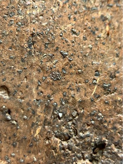 พระขุนแผน พลายคู่ กรุวัดบ้านกร่าง รูปที่ 16