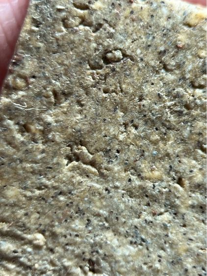 พระสมเด็จวัดระฆังพิมพ์ใหญ่ รูปที่ 12