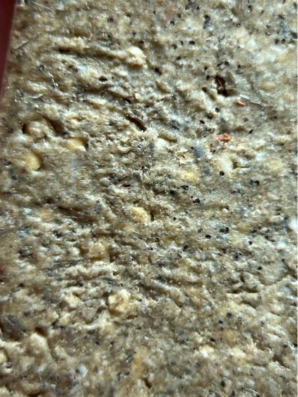 พระสมเด็จวัดระฆังพิมพ์ใหญ่ รูปที่ 11