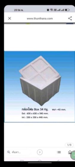 รังโฟมขนาด54โล