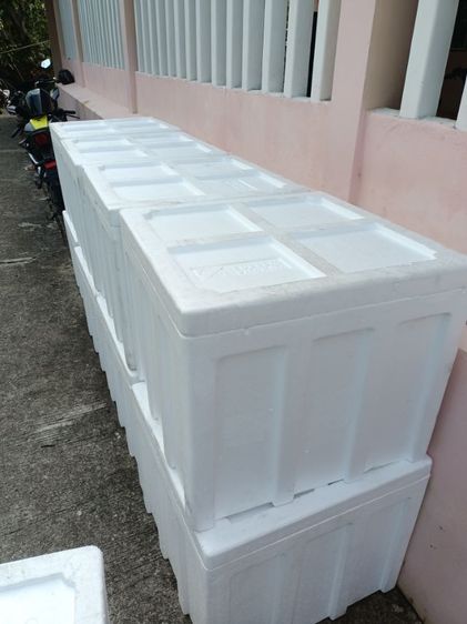 รังโฟมขนาด54โล รูปที่ 2