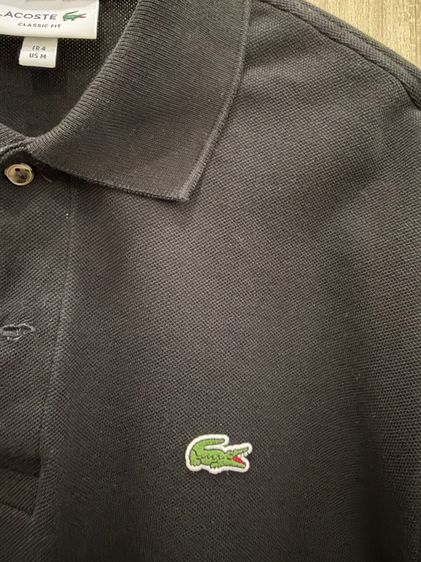 lacoste อก 40 นิ้ว รูปที่ 7