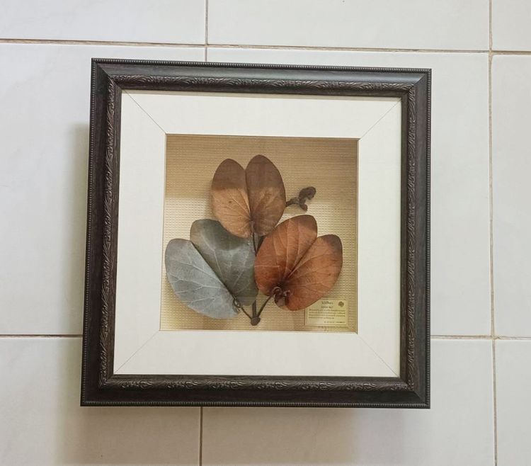 กรอบรูป ใบไม้สีทอง ใบไม้มงคล