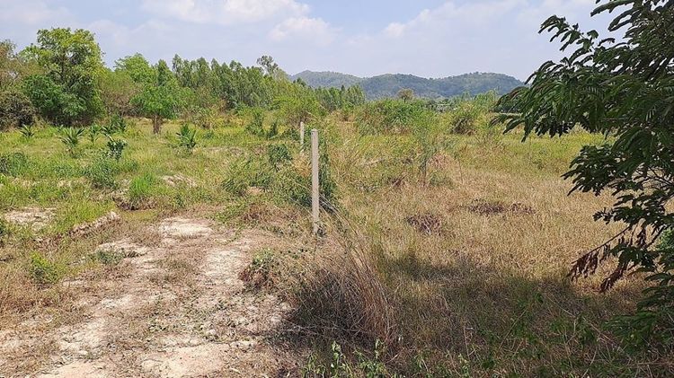 ขายที่ดินเปล่าบ้านจาน หนองแค สระบุรี รูปที่ 3