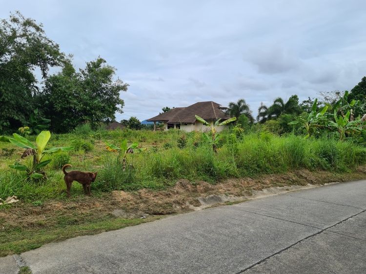 ขายที่โฉนด ปรับพื้นที่แล้ว ซอยไสน้ำเย็น เนื้อที่ 259 ตร.ว. เจ้าของขายเอง