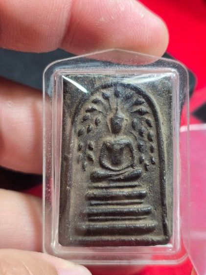 สมเด็จปรกโพธิ์