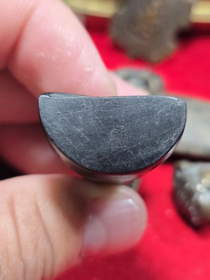 พระปิดตาหลวงพ่อคง วัดวังสรรพรส ไม้งิ้วดำ รูปที่ 5