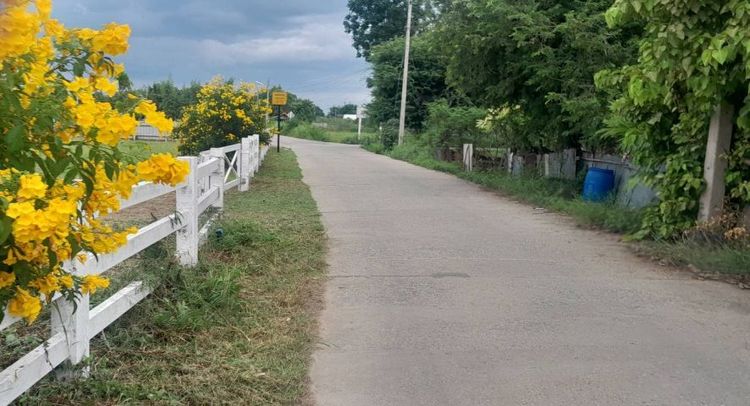 ใช่ ขายที่ดินใกล้ทะเล จังหวัดเพชรบุรี รูปที่ 3