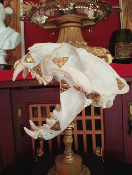 สิ่งมงคลเสริมอำนาจบารมีเป็นที่น่าเกรงขาม รูปที่ 9