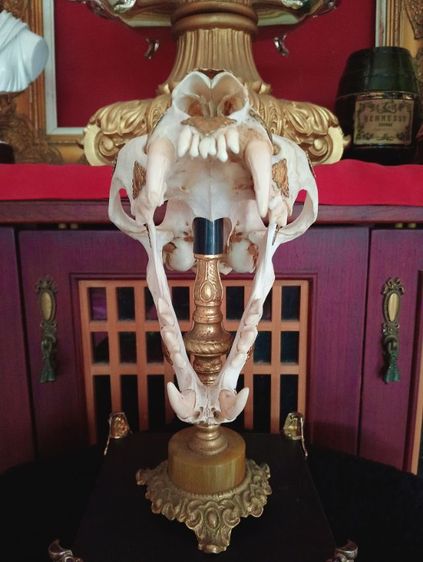 สิ่งมงคลเสริมอำนาจบารมีเป็นที่น่าเกรงขาม รูปที่ 2