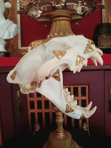 สิ่งมงคลเสริมอำนาจบารมีเป็นที่น่าเกรงขาม รูปที่ 12