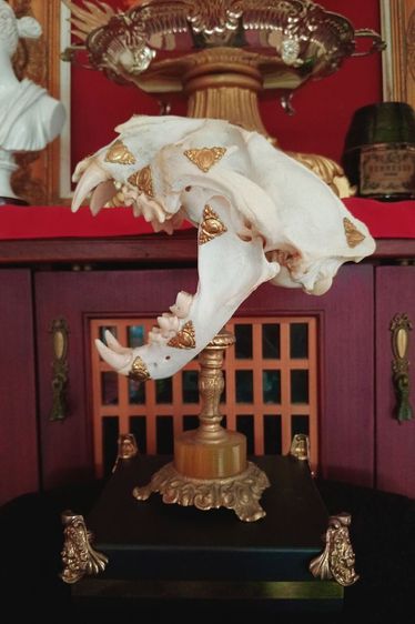 สิ่งมงคลเสริมอำนาจบารมีเป็นที่น่าเกรงขาม