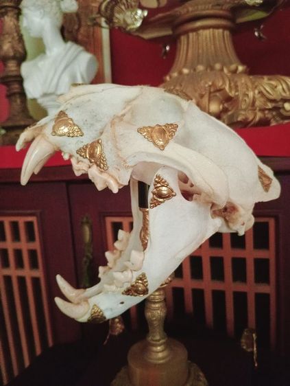 สิ่งมงคลเสริมอำนาจบารมีเป็นที่น่าเกรงขาม รูปที่ 17