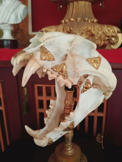 สิ่งมงคลเสริมอำนาจบารมีเป็นที่น่าเกรงขาม รูปที่ 3