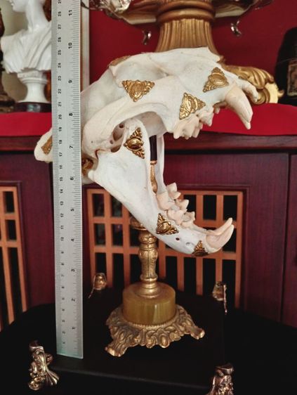 สิ่งมงคลเสริมอำนาจบารมีเป็นที่น่าเกรงขาม รูปที่ 14