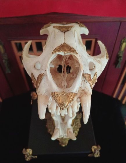 สิ่งมงคลเสริมอำนาจบารมีเป็นที่น่าเกรงขาม รูปที่ 4