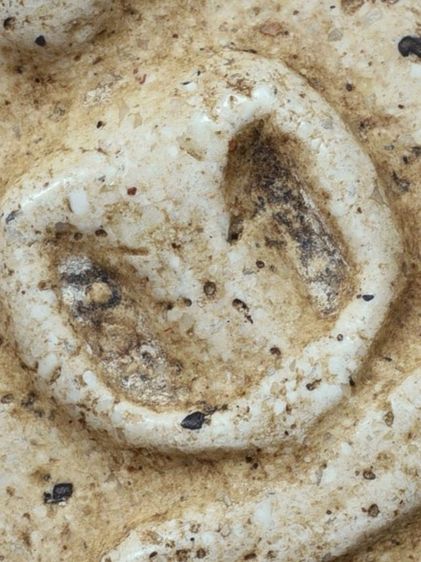 (Number One) เปิดกรุ ให้เช่าบูชาสมบัติบ้าน พระสมเด็จวัดระฆัง พิมพ์เจดีย์ มีมวลสาร เก่าสภาพใช้ รูปที่ 16